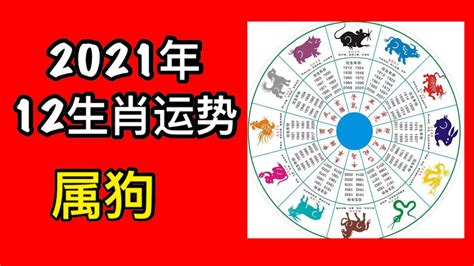 2021屬什麼|【2021屬什麼】2021年屬什麼？一文看懂生肖流年、犯太歲與運。